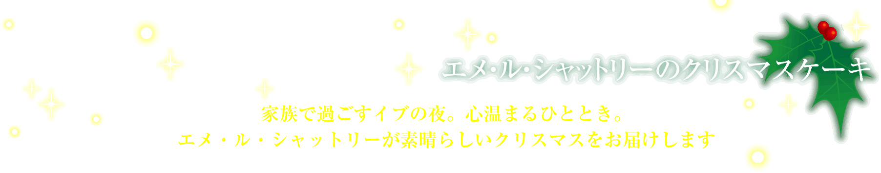 エメ・ル・シャットリーのクリスマスケーキ 家族で過ごすイブの夜。心温まるひととき。エメ・ル・シャットリーが素晴らしいクリスマスをお届けします